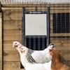Chickenguarddrmls-02
