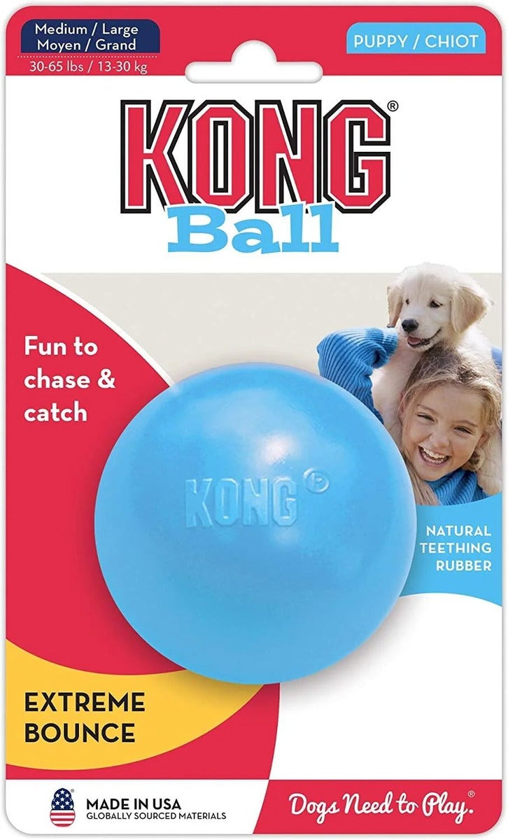 Kong Puppy ball