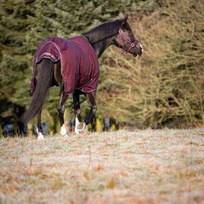 Landon Turnout dækken std. 100g 1200D