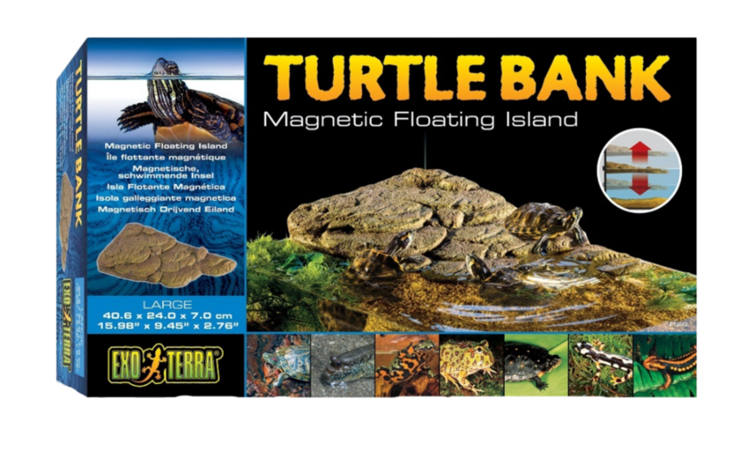 Turtle bank small