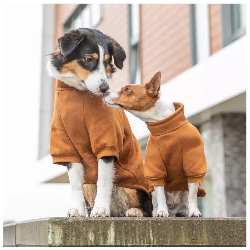 CityStyle Amsterdam sweatshirt