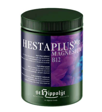 Hippolyt HestaPlus magnesium B12 1 kg