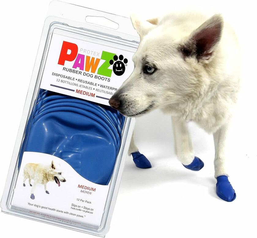 Pawz Dog Boots