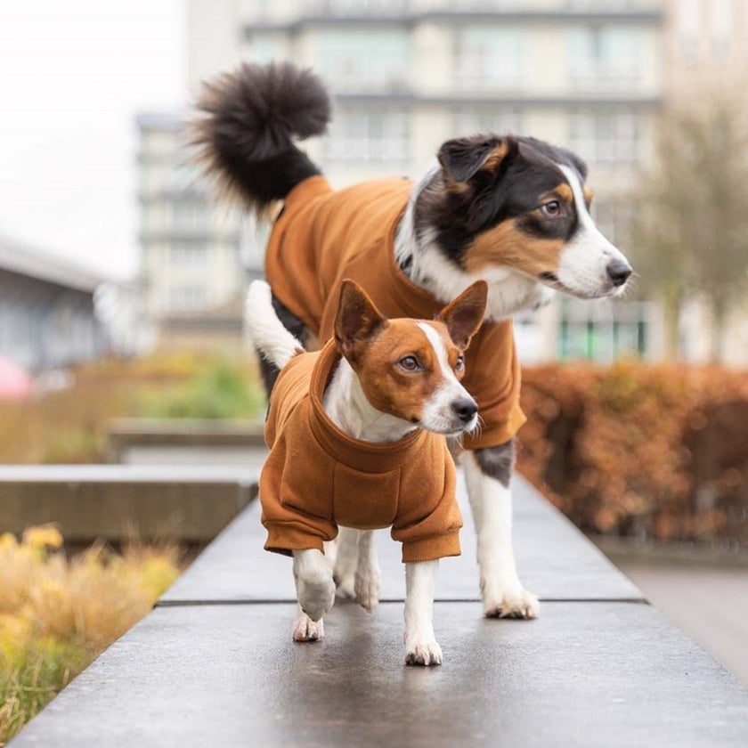 CityStyle Amsterdam sweatshirt