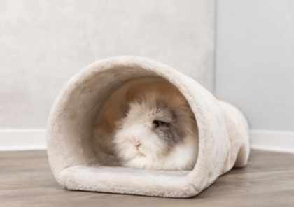 Cuddly Tunnel kanin/marsvin