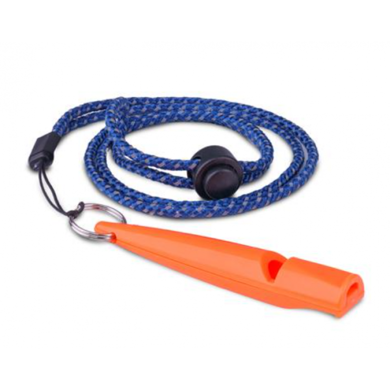 Coachi Training Whistle