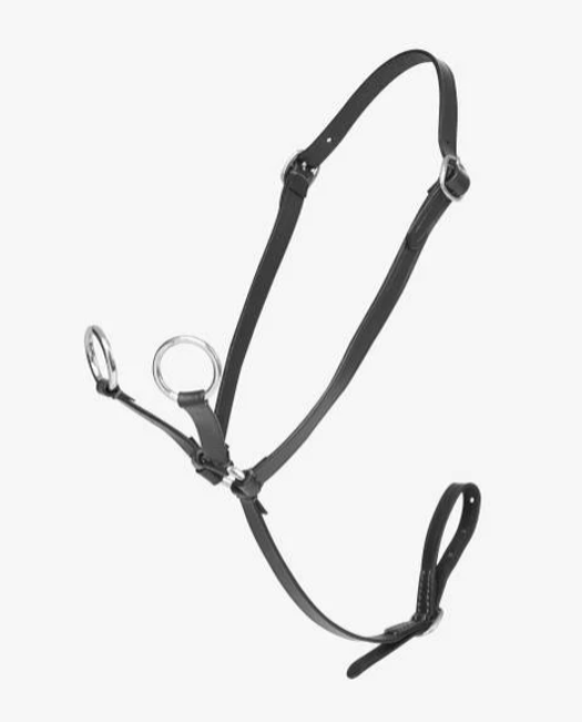 Toy Pony Martingale