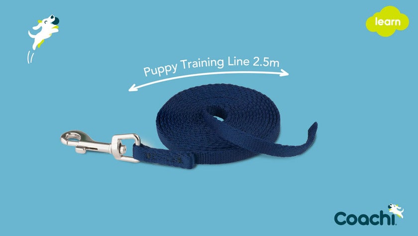 Coachi Puppy Training Line, navy, 2,5 m