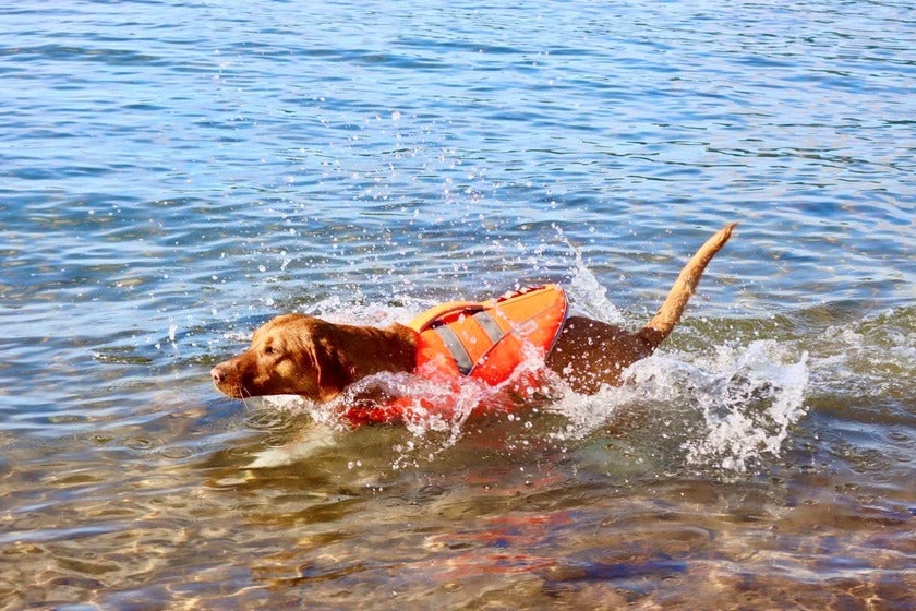 Life Jacket