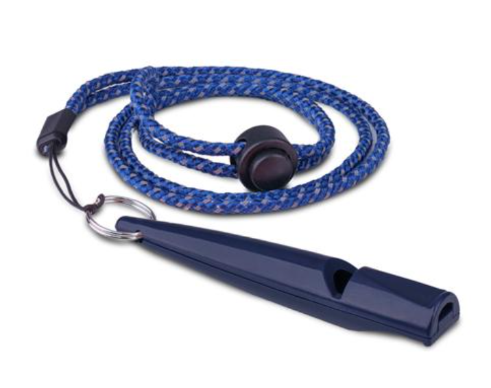 Coachi Training Whistle