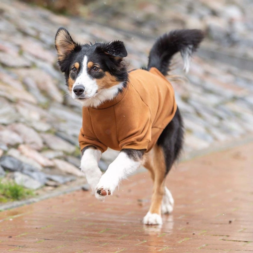 CityStyle Amsterdam sweatshirt