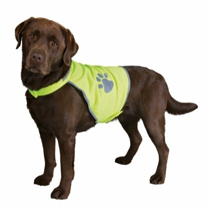 Sikkerhedsvest hund