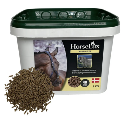 Horselux Stabilizer 2 kg