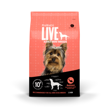 Live adult mini breed laks & ris