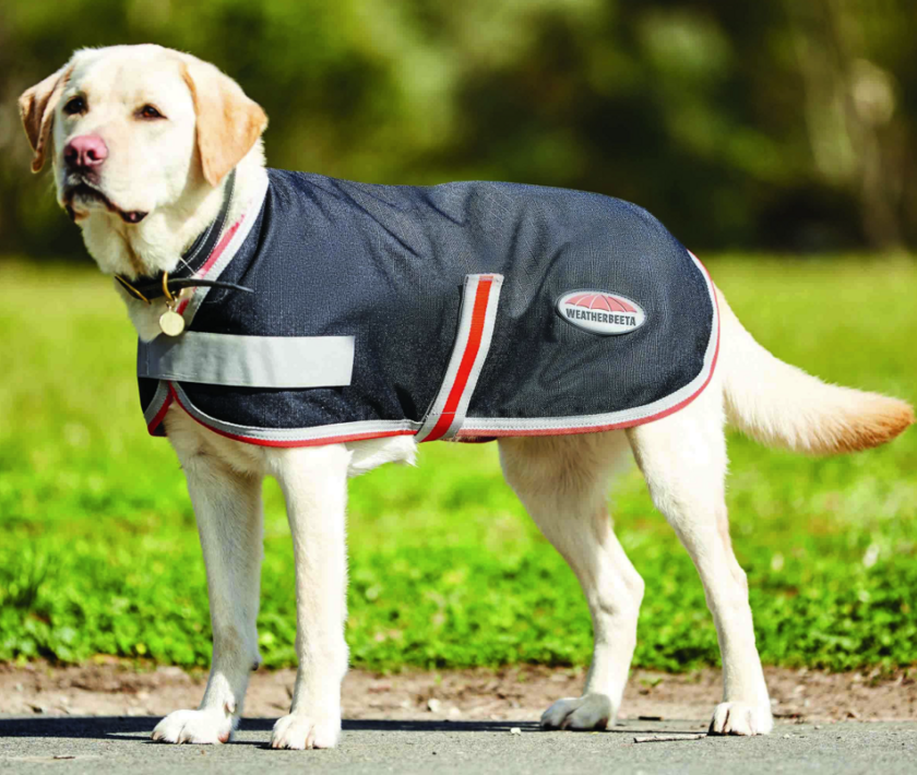 Weatherbeeta Therapy-Tec dog coat