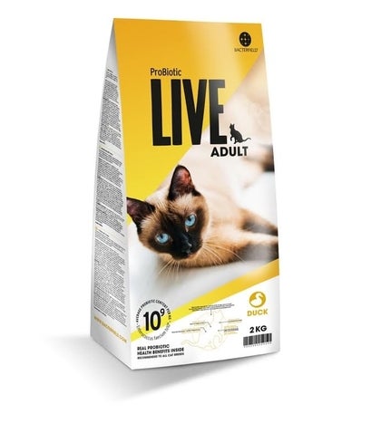 Live cat adult and