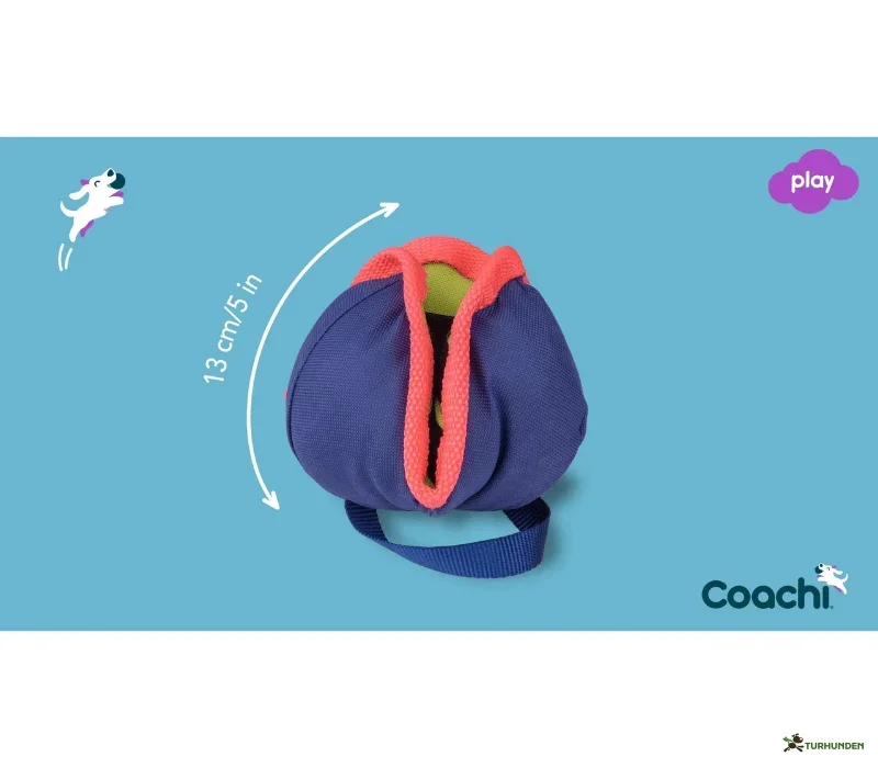 Coachi Chase & Treat