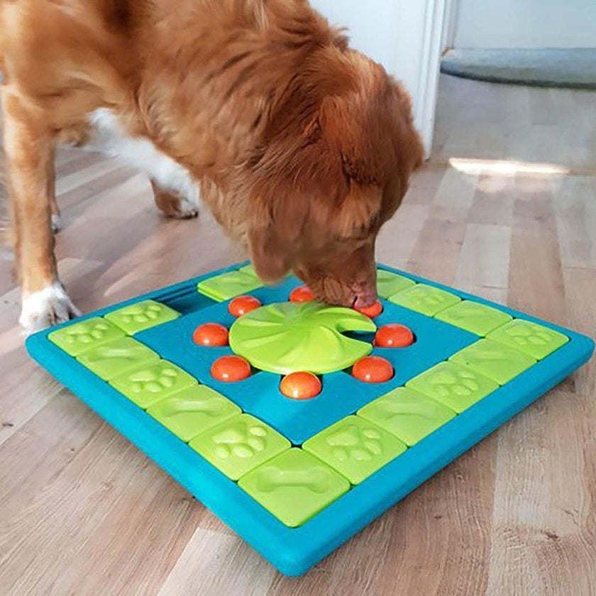 Dog multipuzzle