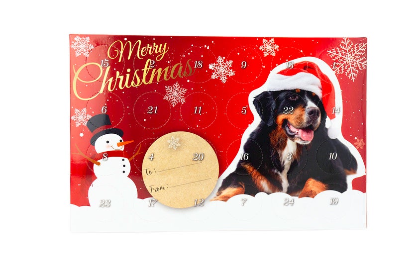 Julekalender Mini Treats hund