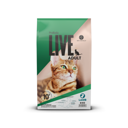 Live cat adult lam