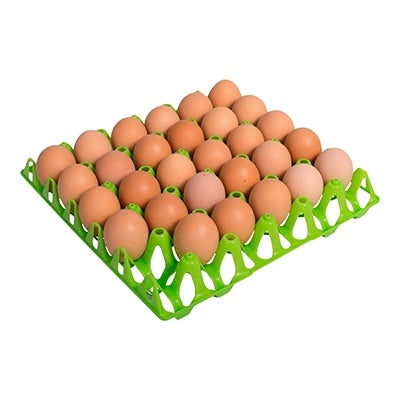 Æggebakke plast til 30 æg